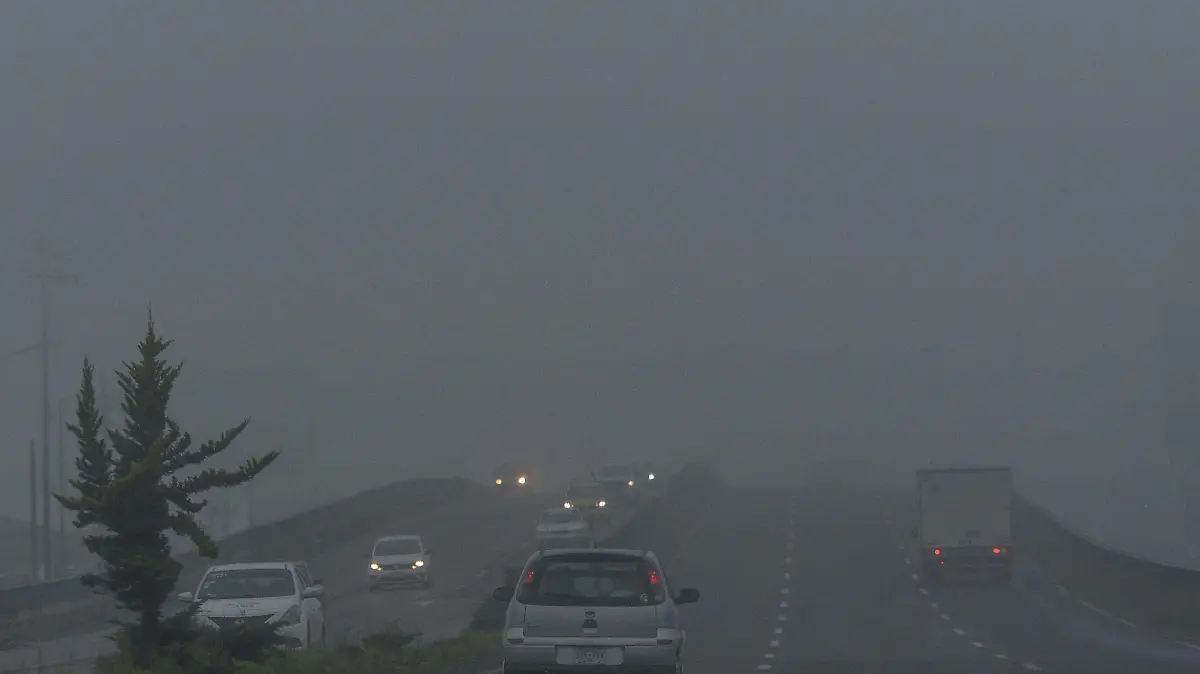 883389_Neblina en carretera -4_impreso